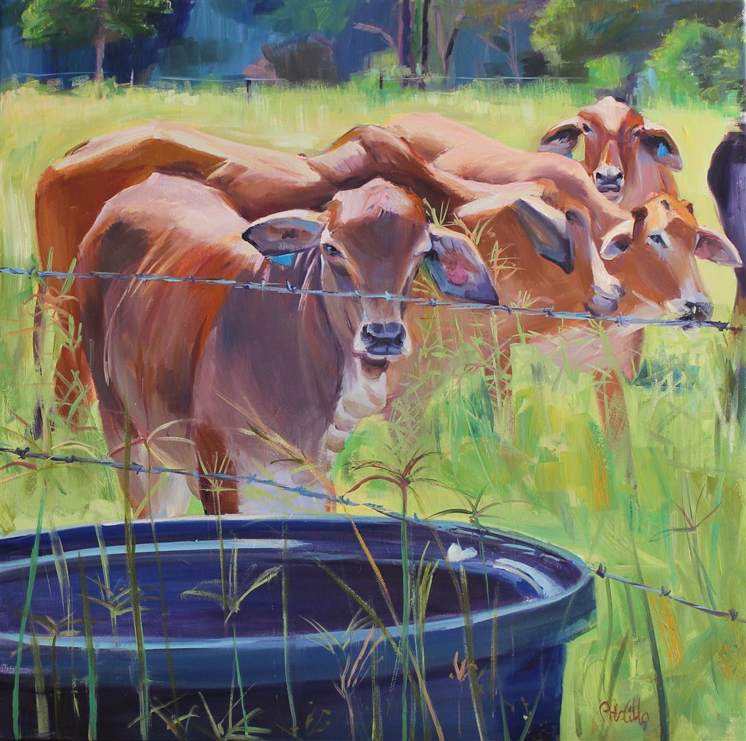 Cows - Priscilla's Studio