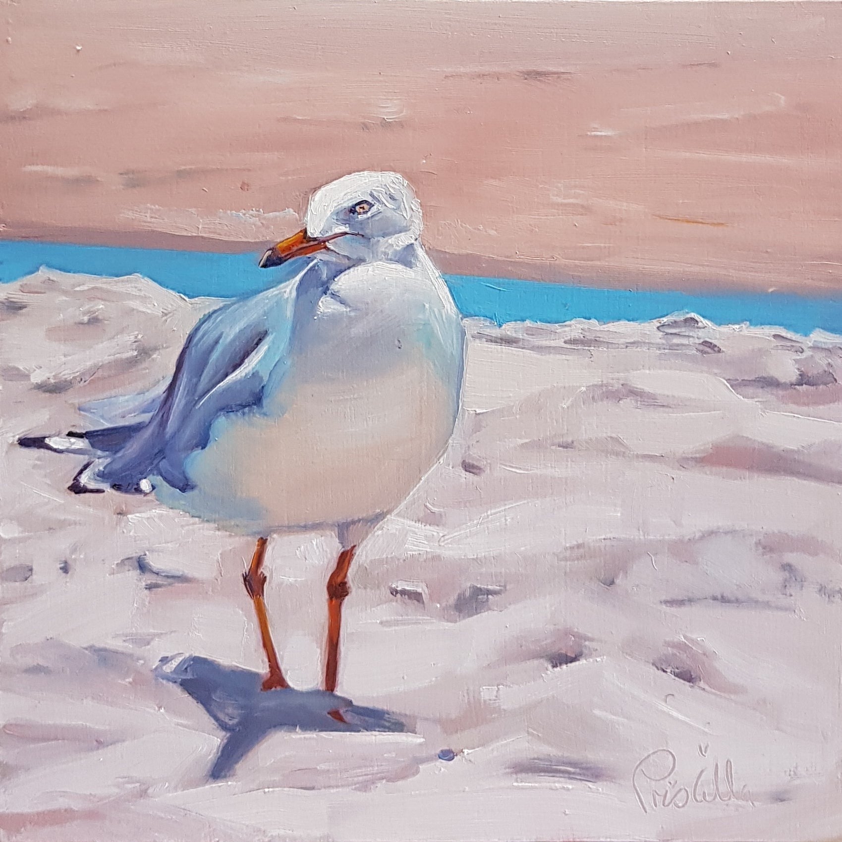 A Birds Eye View - Currumbin 1 - Priscilla's Studio