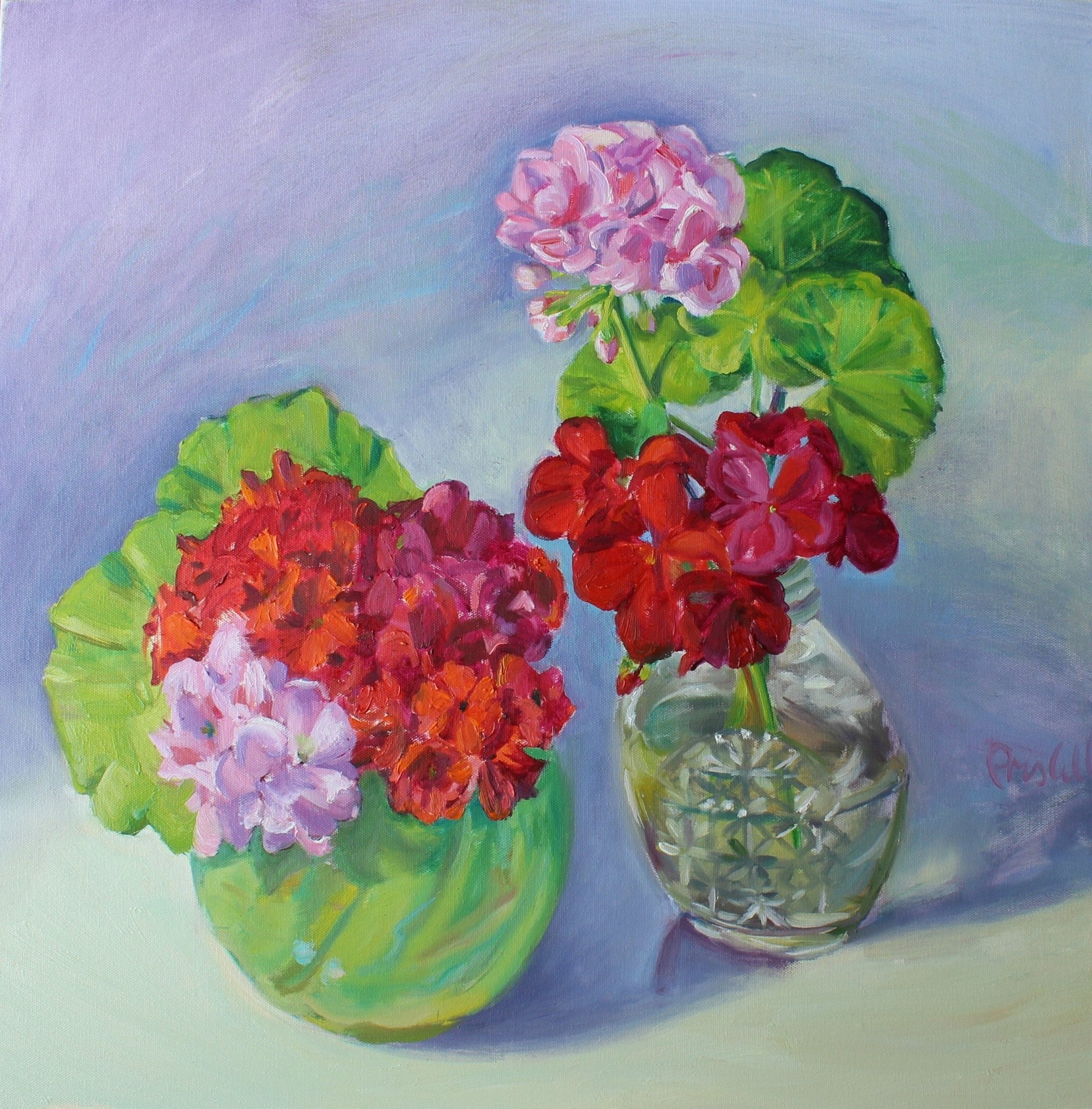 All the Geraniums - Priscilla's Studio