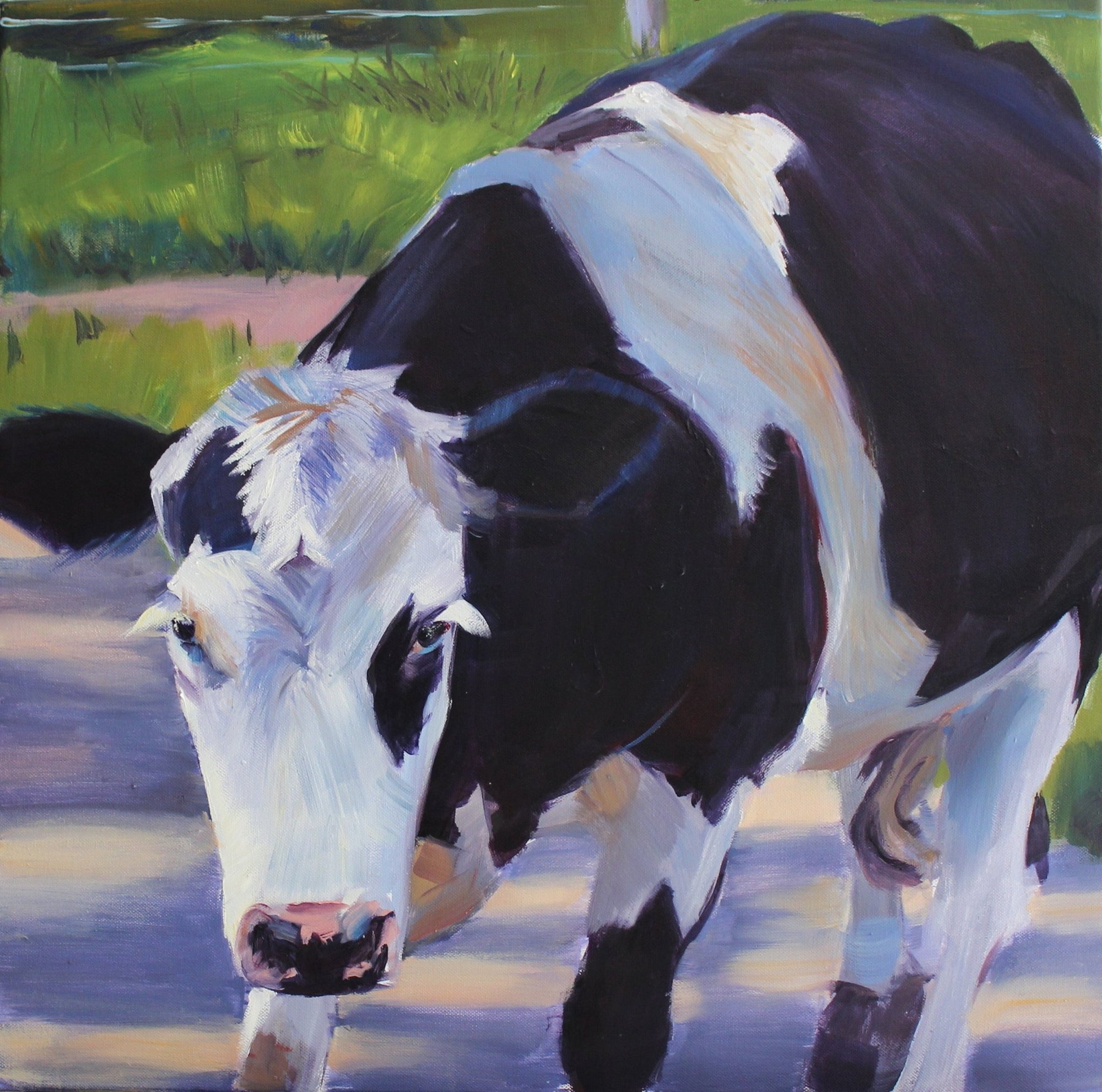 Cow in B n W - Priscilla's Studio